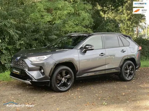 Annonce TOYOTA RAV4 Hybride 2021 d'occasion 