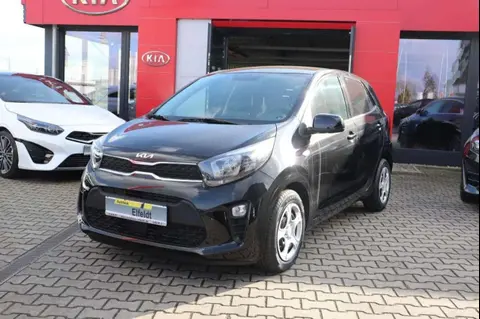 Annonce KIA PICANTO Essence 2024 d'occasion 