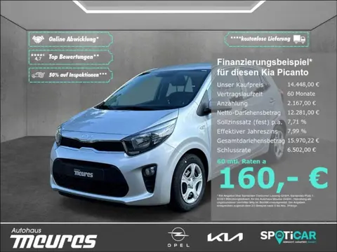 Used KIA PICANTO Petrol 2024 Ad 