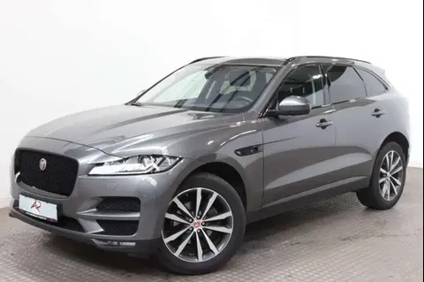 Used JAGUAR F-PACE Diesel 2018 Ad 