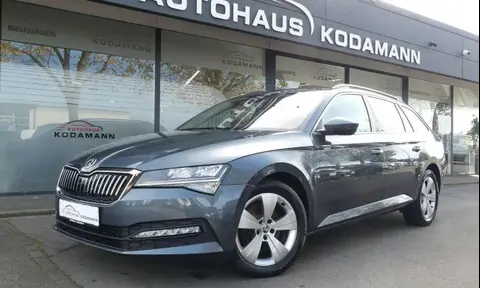 Used SKODA SUPERB Diesel 2019 Ad 