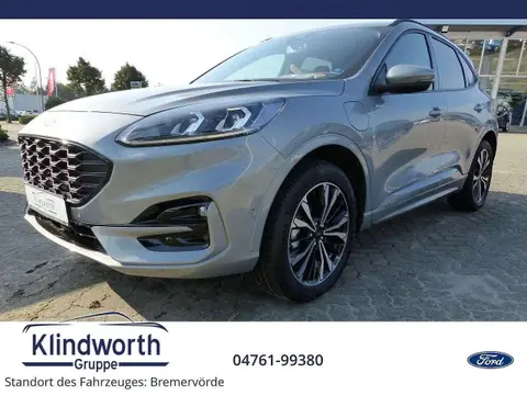 Used FORD KUGA Hybrid 2024 Ad 