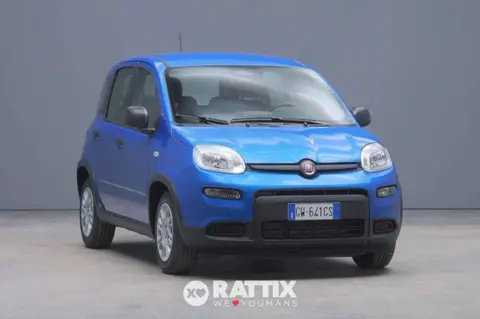 Used FIAT PANDA Hybrid 2024 Ad Italy