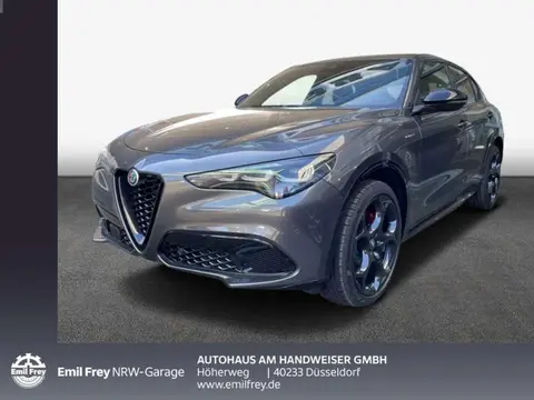 Used ALFA ROMEO STELVIO Petrol 2023 Ad 