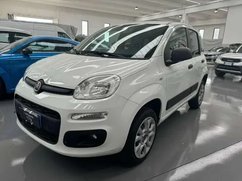 Annonce FIAT PANDA Essence 2019 d'occasion 