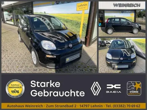 Used FIAT PANDA Petrol 2024 Ad 