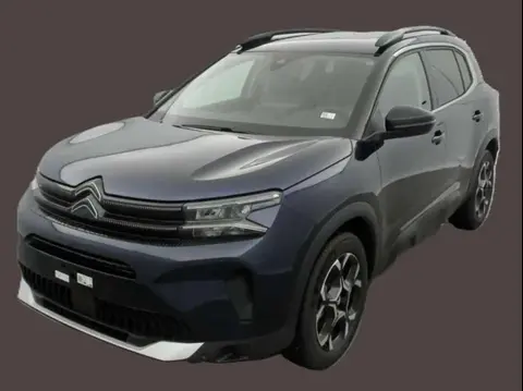 Used CITROEN C5 AIRCROSS Petrol 2023 Ad 