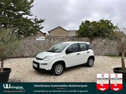 Used FIAT PANDA Petrol 2022 Ad 