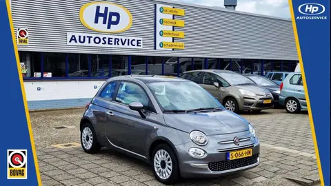 Used FIAT 500 Hybrid 2023 Ad 