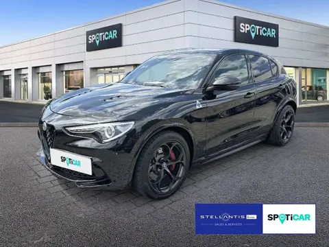 Annonce ALFA ROMEO STELVIO Essence 2020 d'occasion 