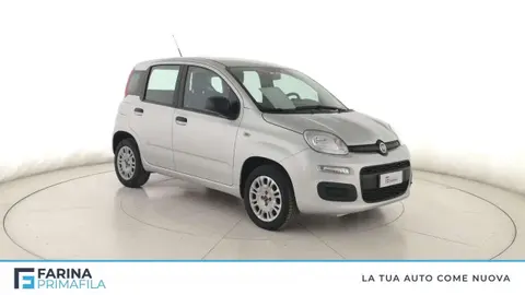 Used FIAT PANDA Petrol 2020 Ad 