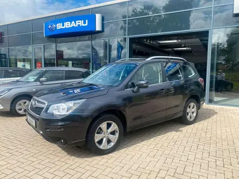 Annonce SUBARU FORESTER Essence 2024 d'occasion 