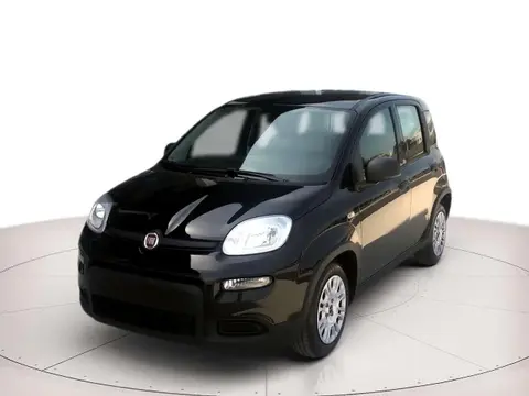 Annonce FIAT PANDA Hybride 2024 d'occasion 