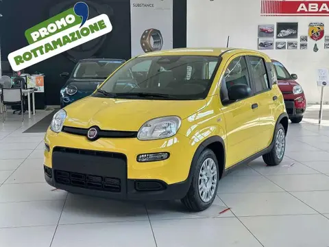 Used FIAT PANDA Hybrid 2024 Ad 