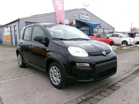 Annonce FIAT PANDA Essence 2024 d'occasion 