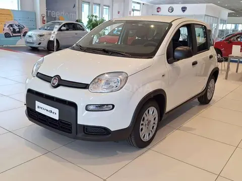 Used FIAT PANDA Hybrid 2024 Ad 