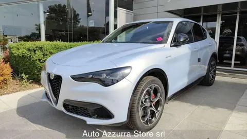 Used ALFA ROMEO STELVIO Diesel 2024 Ad 