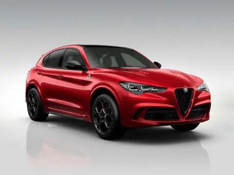 Annonce ALFA ROMEO STELVIO Essence 2024 d'occasion 