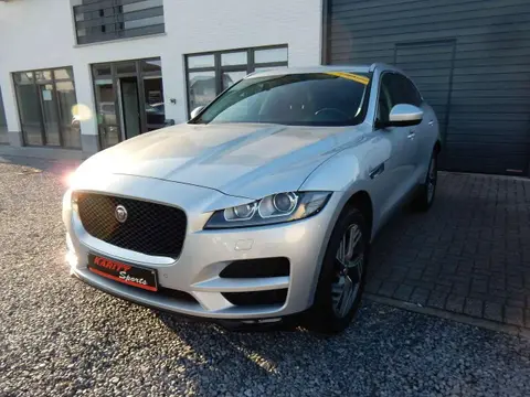 Used JAGUAR F-PACE Diesel 2017 Ad 