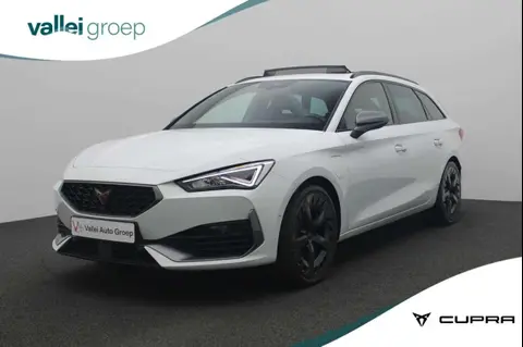 Used CUPRA LEON Hybrid 2022 Ad 