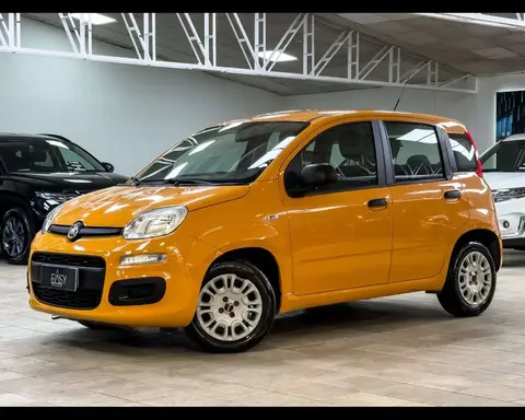 Annonce FIAT PANDA Essence 2019 d'occasion 