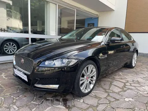 Used JAGUAR XF Diesel 2019 Ad 