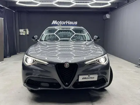 Used ALFA ROMEO STELVIO Diesel 2019 Ad 