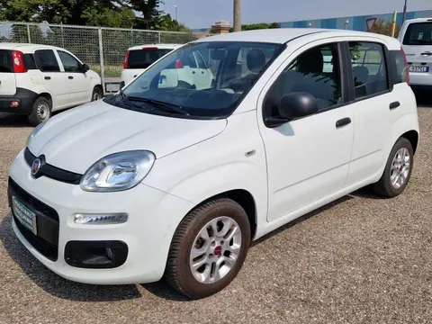 Annonce FIAT PANDA Diesel 2016 d'occasion 