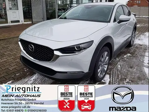 Used MAZDA CX-30 Hybrid 2024 Ad 