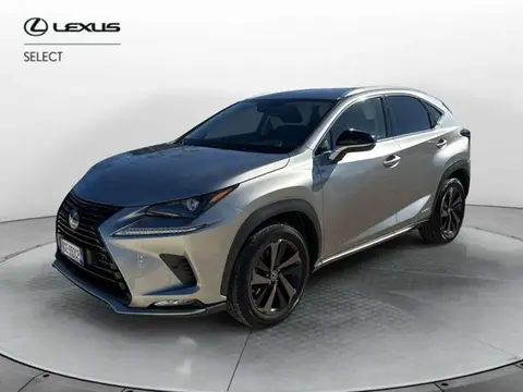 Annonce LEXUS NX Hybride 2021 d'occasion 