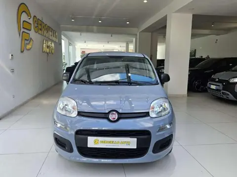 Annonce FIAT PANDA Hybride 2022 d'occasion 