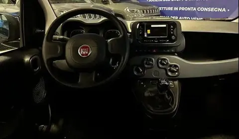 Used FIAT PANDA Hybrid 2024 Ad 