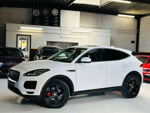 Used JAGUAR E-PACE Diesel 2019 Ad 