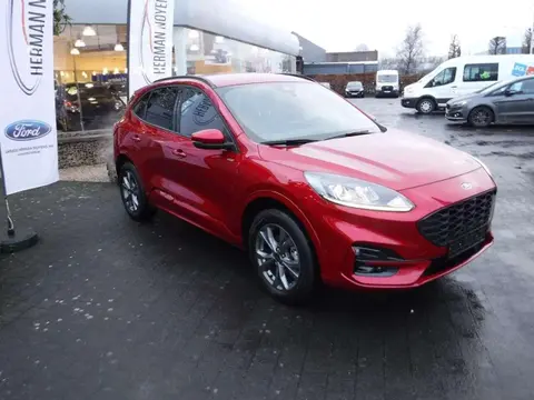 Used FORD KUGA Hybrid 2023 Ad Belgium