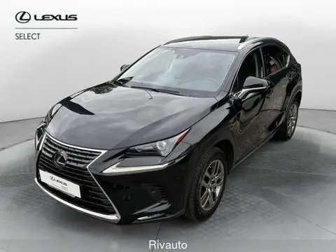 Annonce LEXUS NX Hybride 2021 d'occasion 