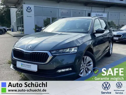 Used SKODA OCTAVIA Diesel 2020 Ad 