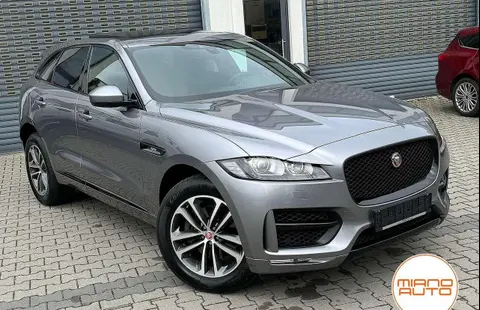 Used JAGUAR F-PACE Diesel 2019 Ad 