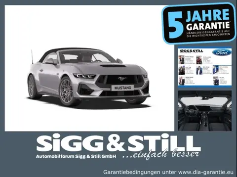 Used FORD MUSTANG Petrol 2024 Ad Germany