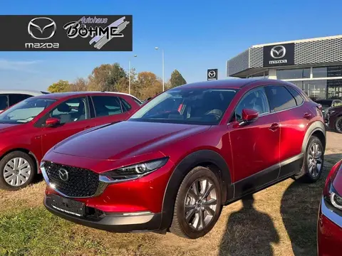 Used MAZDA CX-30 Petrol 2020 Ad 