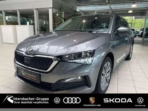 Annonce SKODA SCALA Essence 2023 d'occasion 