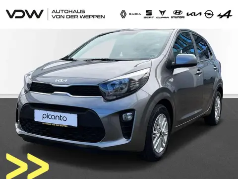 Annonce KIA PICANTO Essence 2024 d'occasion 