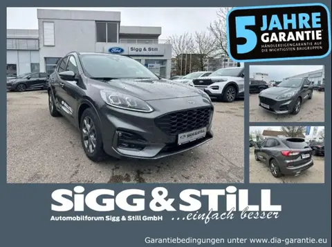 Used FORD KUGA Hybrid 2024 Ad 