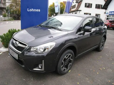 Used SUBARU XV Petrol 2017 Ad 