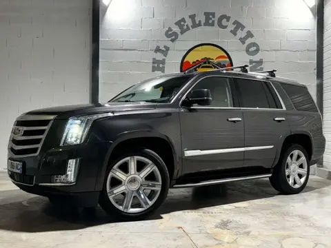 Used CADILLAC ESCALADE Petrol 2016 Ad 