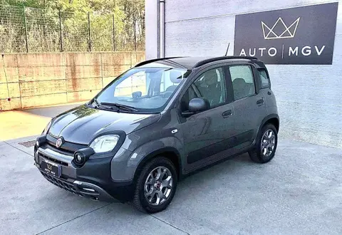 Used FIAT PANDA Hybrid 2020 Ad 