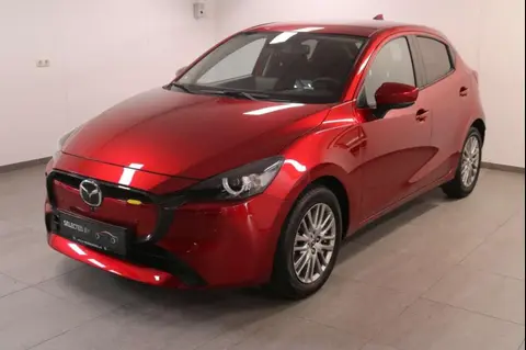 Annonce MAZDA 2 Essence 2024 d'occasion 