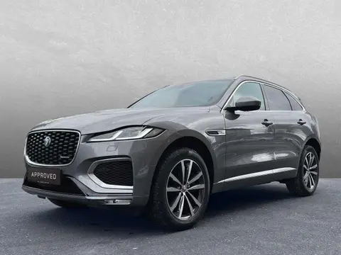 Used JAGUAR F-PACE Diesel 2024 Ad 