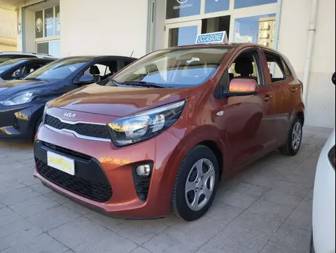 Used KIA PICANTO Petrol 2023 Ad 