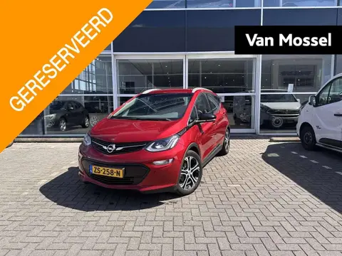 Used OPEL AMPERA Electric 2019 Ad 