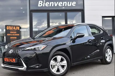 Used LEXUS UX Hybrid 2023 Ad 